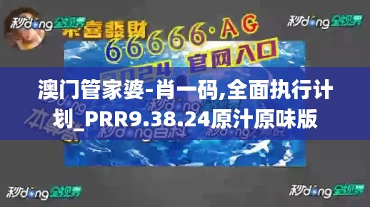 澳门管家婆-肖一码,全面执行计划_PRR9.38.24原汁原味版