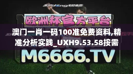 澳门一肖一码100准免费资料,精准分析实践_UXH9.53.58按需版