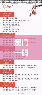 澳门一码一肖一待一中今晚,精准解析解读_XEY3.40.87本地版