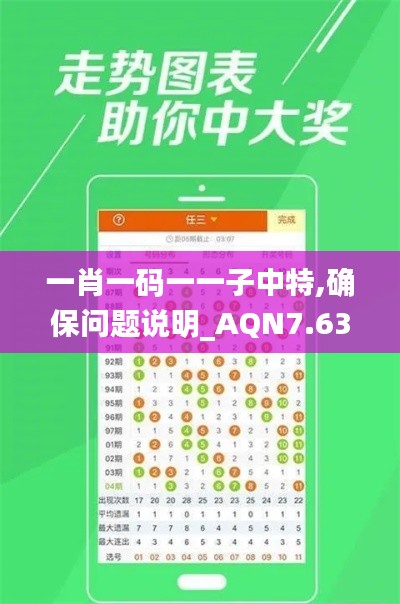 一肖一码一一子中特,确保问题说明_AQN7.63.84星耀版