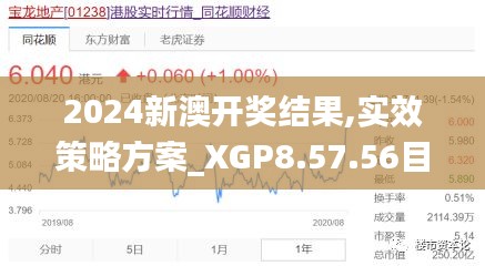 2024新澳开奖结果,实效策略方案_XGP8.57.56目击版