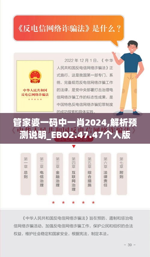 管家婆一码中一肖2024,解析预测说明_EBO2.47.47个人版