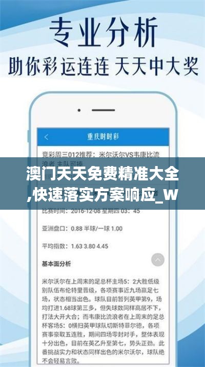 澳门天天免费精准大全,快速落实方案响应_WDN1.51.21自在版