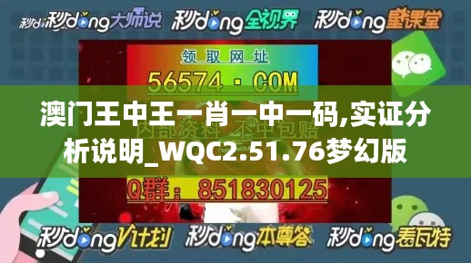 澳门王中王一肖一中一码,实证分析说明_WQC2.51.76梦幻版