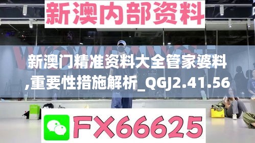 新澳门精准资料大全管家婆料,重要性措施解析_QGJ2.41.56抓拍版