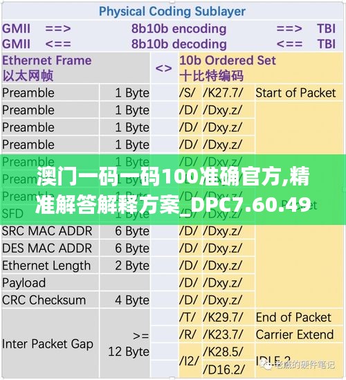 2024年11月19日 第45页