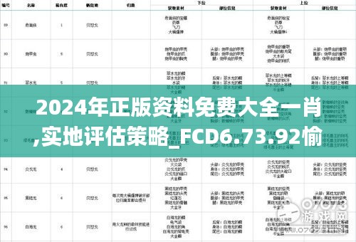 2024年正版资料免费大全一肖,实地评估策略_FCD6.73.92愉悦版