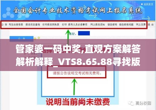 管家婆一码中奖,直观方案解答解析解释_VTS8.65.88寻找版