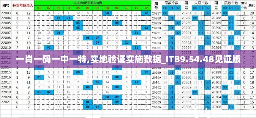 一肖一码一中一特,实地验证实施数据_ITB9.54.48见证版