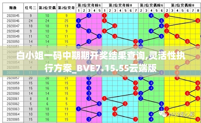 白小姐一码中期期开奖结果查询,灵活性执行方案_BVE7.15.55云端版