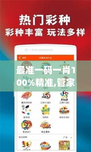 最准一码一肖100%精准,管家婆大小中特,全局分析解释落实_BIG6.53.49外观版