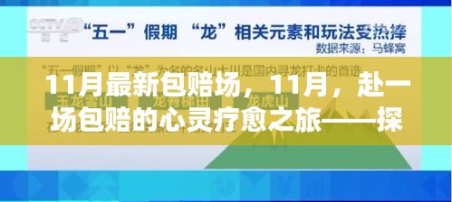 11月最新包赔场，11月，赴一场包赔的心灵疗愈之旅——探索自然美景，重拾内心宁静