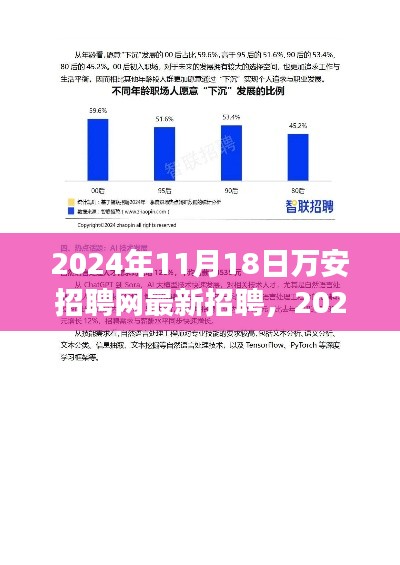 2024年11月19日 第29页