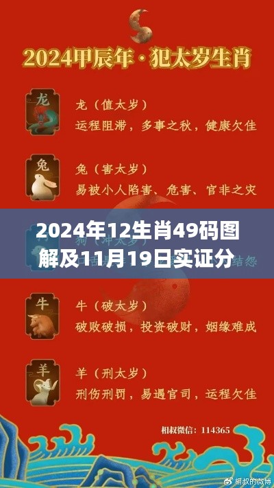 2024年12生肖49码图解及11月19日实证分析_WXM9.21.69科技版