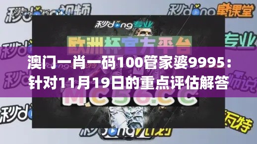 澳门一肖一码100管家婆9995：针对11月19日的重点评估解答与计划_HKM9.22.81云端共享版