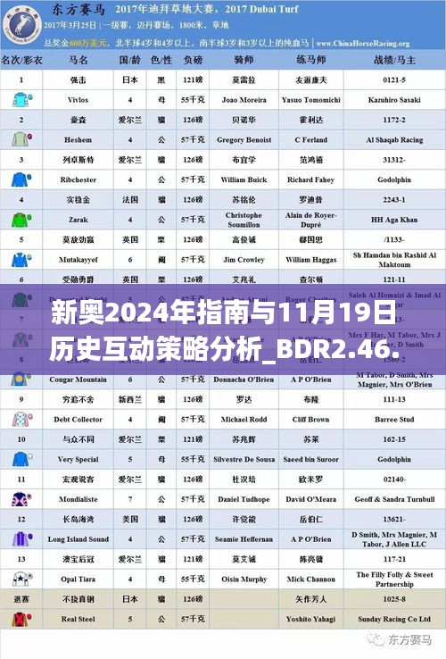 新奥2024年指南与11月19日历史互动策略分析_BDR2.46.72高配版