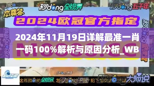 2024年11月19日详解最准一肖一码100%解析与原因分析_WBW9.69.37敏捷版