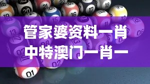 管家婆资料一肖中特澳门一肖一码一一子环境适应性策略应用_MNN3.17.85桌面版