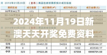 2024年11月19日新澳天天开奖免费资料深度解析与实施策略_IPL7.10.39真实版