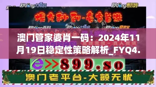 澳门管家婆肖一码：2024年11月19日稳定性策略解析_FYQ4.59.95强劲版