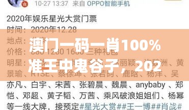 澳门一码一肖100%准王中鬼谷子，2024年11月19日全面实施计划_SRZ5.60.32共鸣版