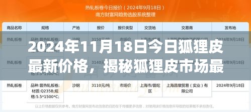 2024年11月18日今日狐狸皮最新价格，揭秘狐狸皮市场最新动态，2024年11月18日狐狸皮价格深度解析