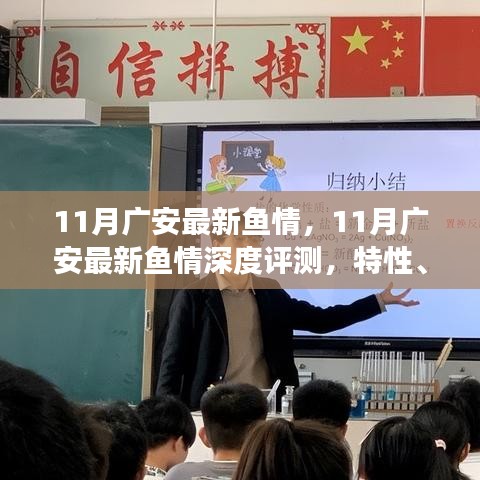 11月广安鱼情深度解析，特性、体验与用户需求的洞察