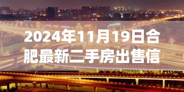 2024年11月19日合肥最新二手房出售信息，跨越未来的桥梁，合肥二手房新机遇与自我重塑的旅程