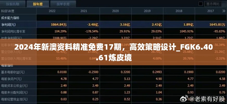 2024年新澳资料精准免费17期，高效策略设计_FGK6.40.61炼皮境