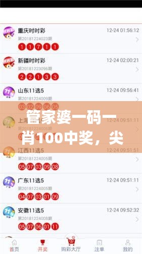 管家婆一码一肖100中奖，尖峰解答落实解析_PVH7.16.25悬浮版