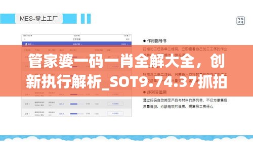 管家婆一码一肖全解大全，创新执行解析_SOT9.74.37抓拍版