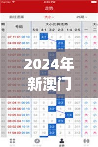 2024年新澳门彩开奖结果与11月19日往年记录详解_ZFZ8.50.59交互版