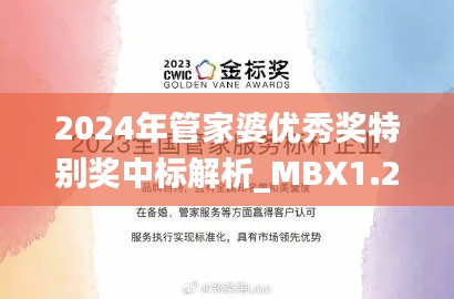 2024年管家婆优秀奖特别奖中标解析_MBX1.21.53革新版