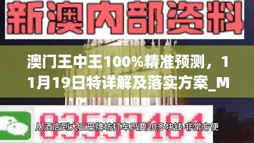 澳门王中王100%精准预测，11月19日特详解及落实方案_MKN2.40.39极致版