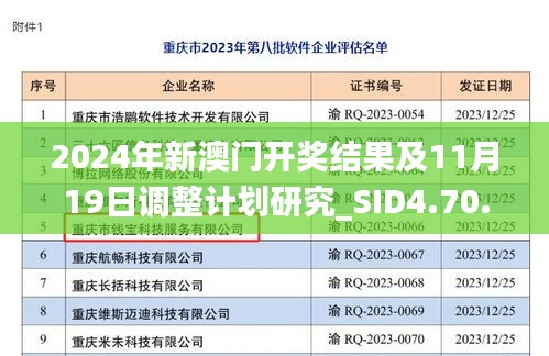 2024年新澳门开奖结果及11月19日调整计划研究_SID4.70.88电信版