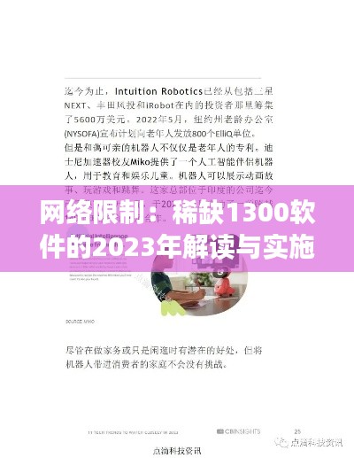 网络限制：稀缺1300软件的2023年解读与实施 - YTD9.28.85教育版