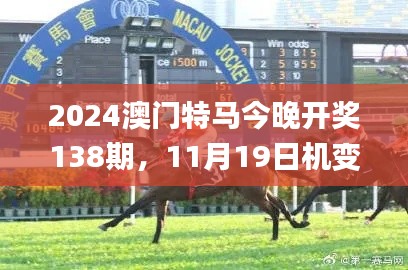 2024澳门特马今晚开奖138期，11月19日机变解析与落实_TXZ9.38.39游玩版