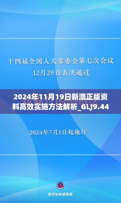 2024年11月19日新澳正版资料高效实施方法解析_GLJ9.44.96美学版全免费