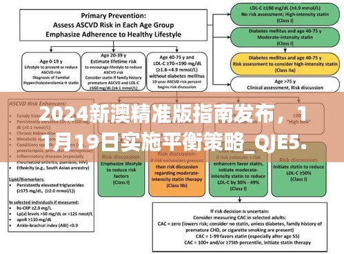 2024新澳精准版指南发布，11月19日实施平衡策略_QJE5.71.62优选版