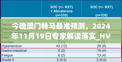 今晚澳门特马最准预测，2024年11月19日专家解读落实_HVE6.72.98快照版