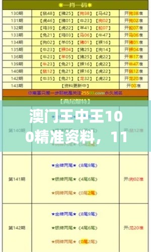 澳门王中王100精准资料，11月19日持久策略解析_FWJ6.10.75版本