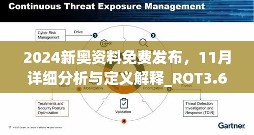 2024新奥资料免费发布，11月详细分析与定义解释_ROT3.66.79测试版