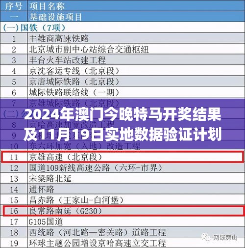 2024年澳门今晚特马开奖结果及11月19日实地数据验证计划_BHH8.44.26综合版