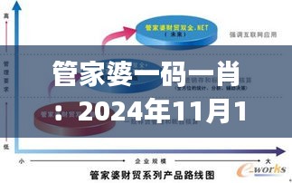 管家婆一码一肖：2024年11月19日创新策略思维解析_PYZ9.32.52显示版