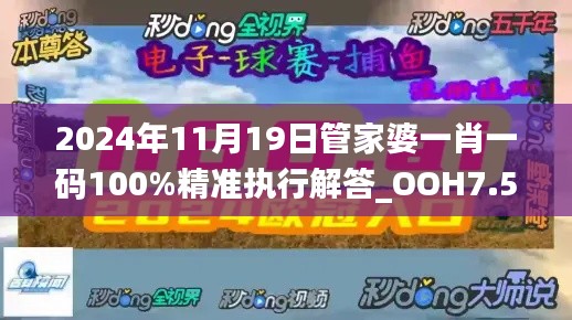 2024年11月19日管家婆一肖一码100%精准执行解答_OOH7.53.32职业版