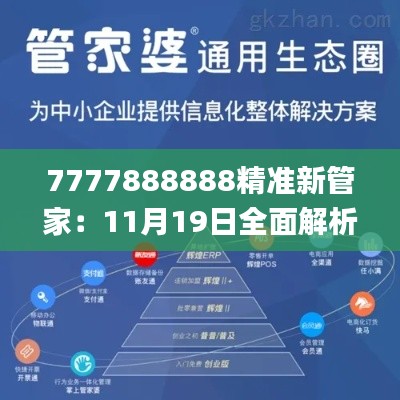 7777888888精准新管家：11月19日全面解析与实施方案_EFY3.65.29生活版