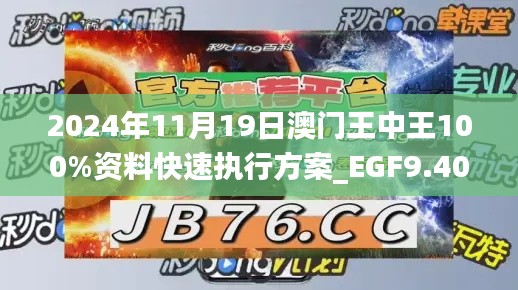 2024年11月19日澳门王中王100%资料快速执行方案_EGF9.40.38神话版