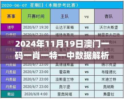 2024年11月19日澳门一码一肖一特一中数据解析计划公开性_XPI7.75.96持久版