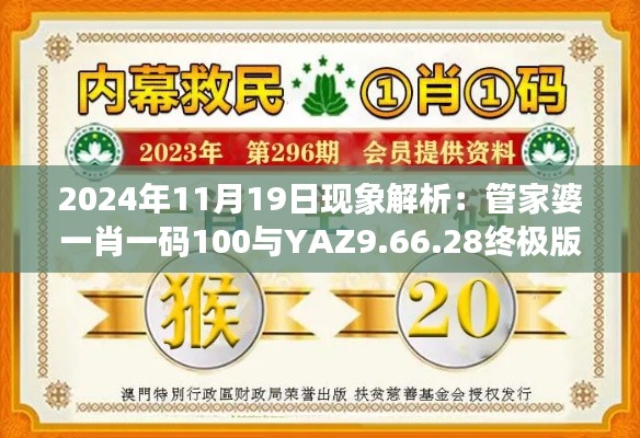 2024年11月19日现象解析：管家婆一肖一码100与YAZ9.66.28终极版