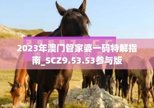 2023年澳门管家婆一码特解指南_SCZ9.53.53参与版